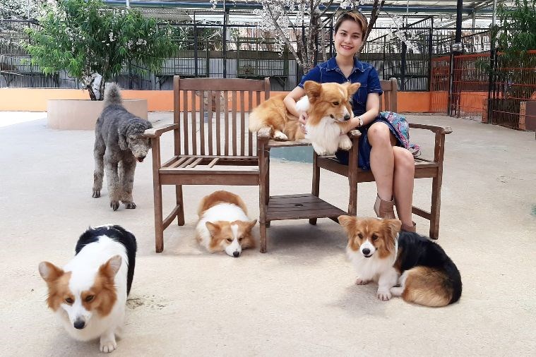 Tour Đà Lạt - Khám Phá những điểm checkin tại Đà Lạt ngàn hoa